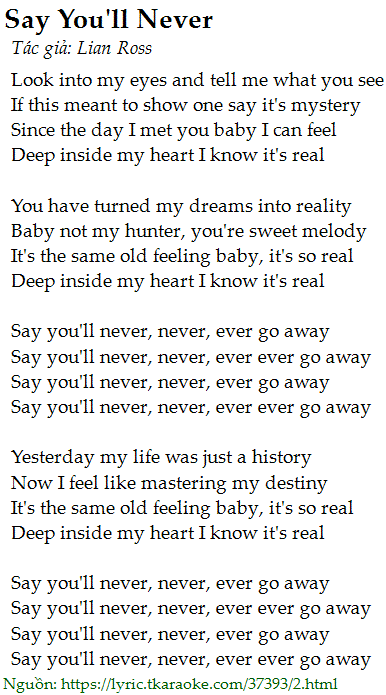 Lời bài hát Say You'll Never (Lian Ross)