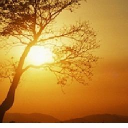 Cao nguyên nắng và gió